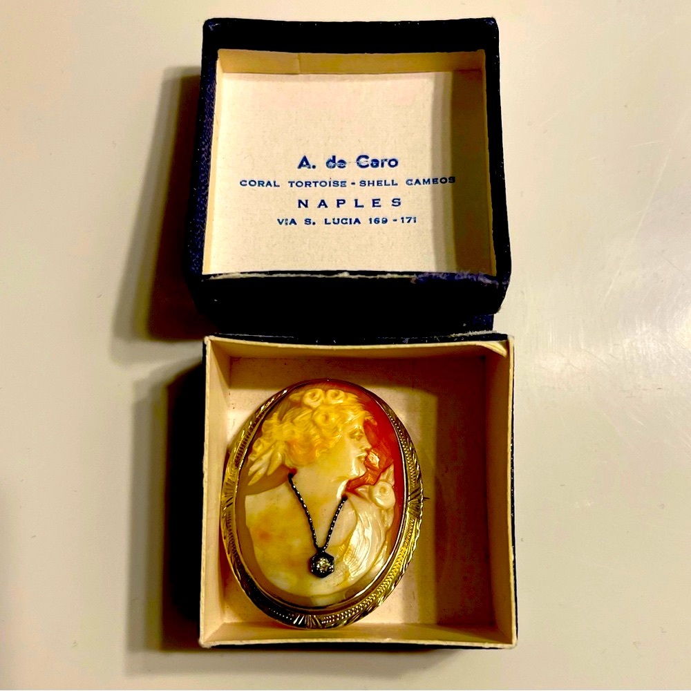 RARE Vintage Cameo Pin
